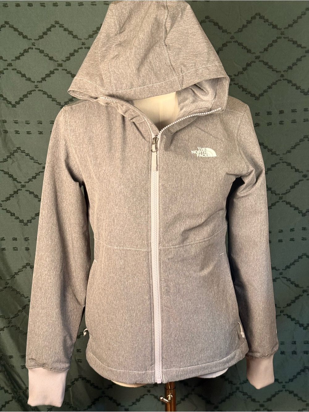 The North Face Women’s Hooded Ski Jacket in Light Gray